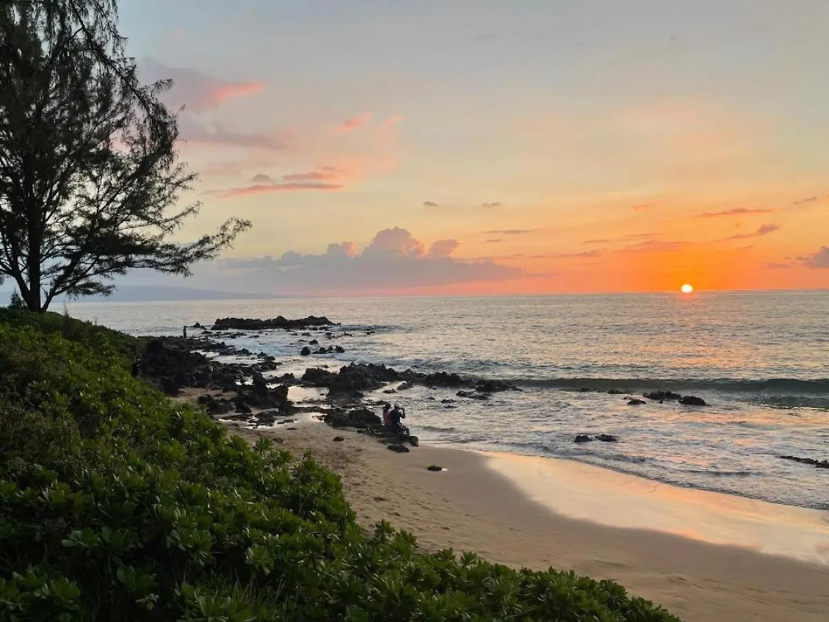 Vila Hale Kamaole 133 Wailea  Prázdninový dům Wailea (Maui)