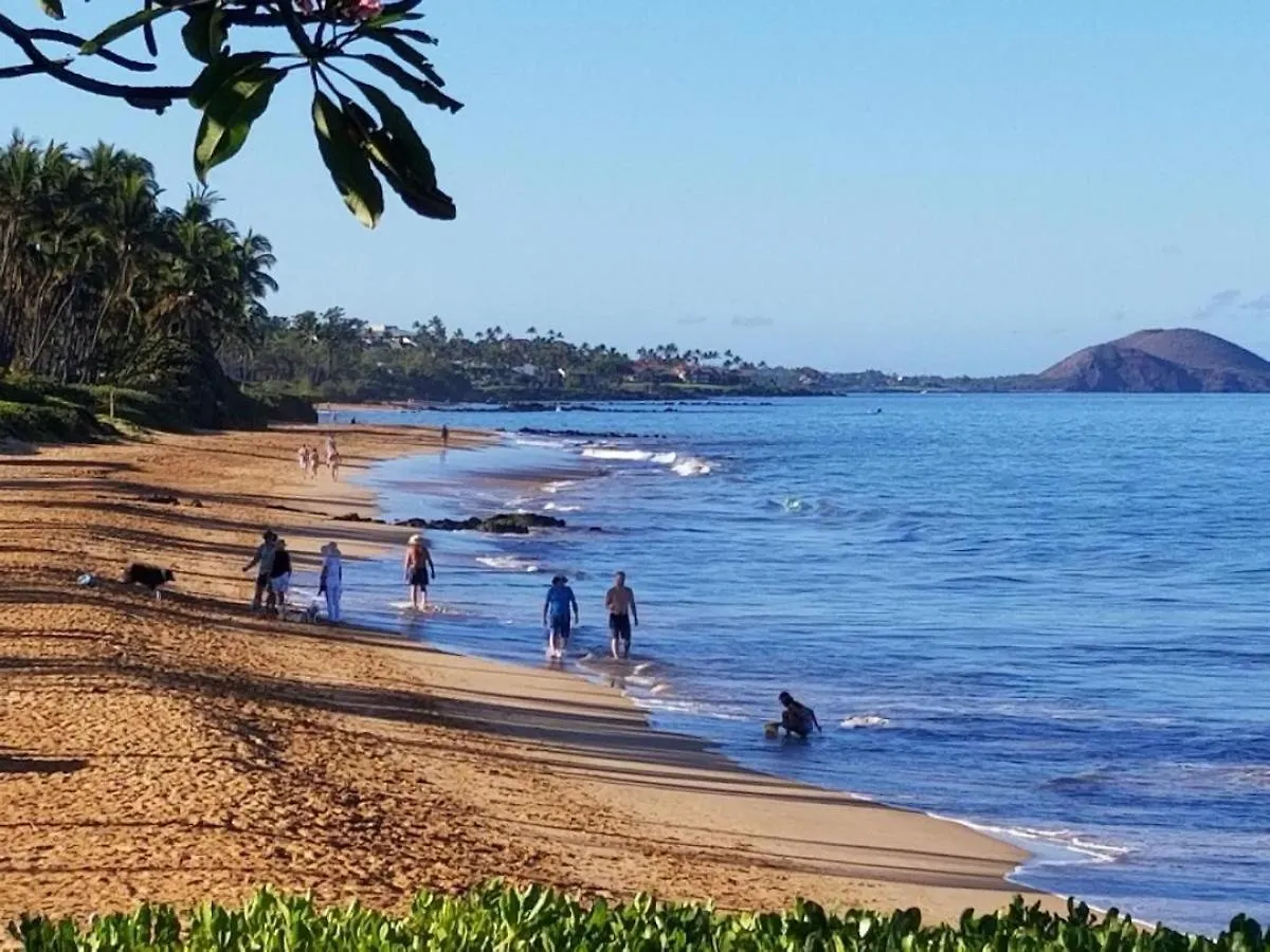 Prázdninový dům Vila Hale Kamaole 133 Wailea  USA